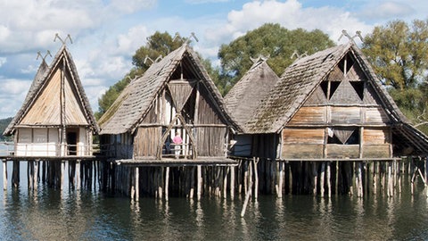 Nachbildung einer Siedlung in der Steinzeit