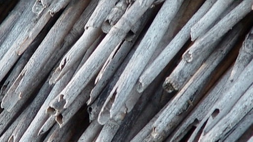 Nahaufnahme Schilf einer Dachabdeckung.