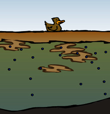 Detailansicht der interaktiven Animation: Querschnitt des Sees, der mit einer dicken Algenschicht überzogen ist.