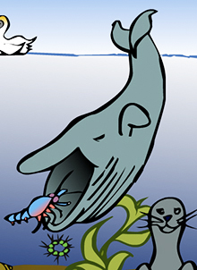 Detailansicht der interaktiven Animation: ein Wal auf Beutezug