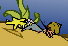 Detailansicht der interaktiven Animation: Ein Einsiedlerkrebs und ein Seestern verspeisen Aas.