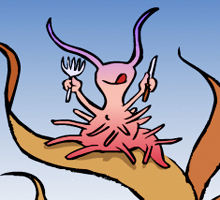 Detailansicht der interaktiven Animation: Eine Nacktschnecke verspeist die Nesselkapseln einer Anemone.