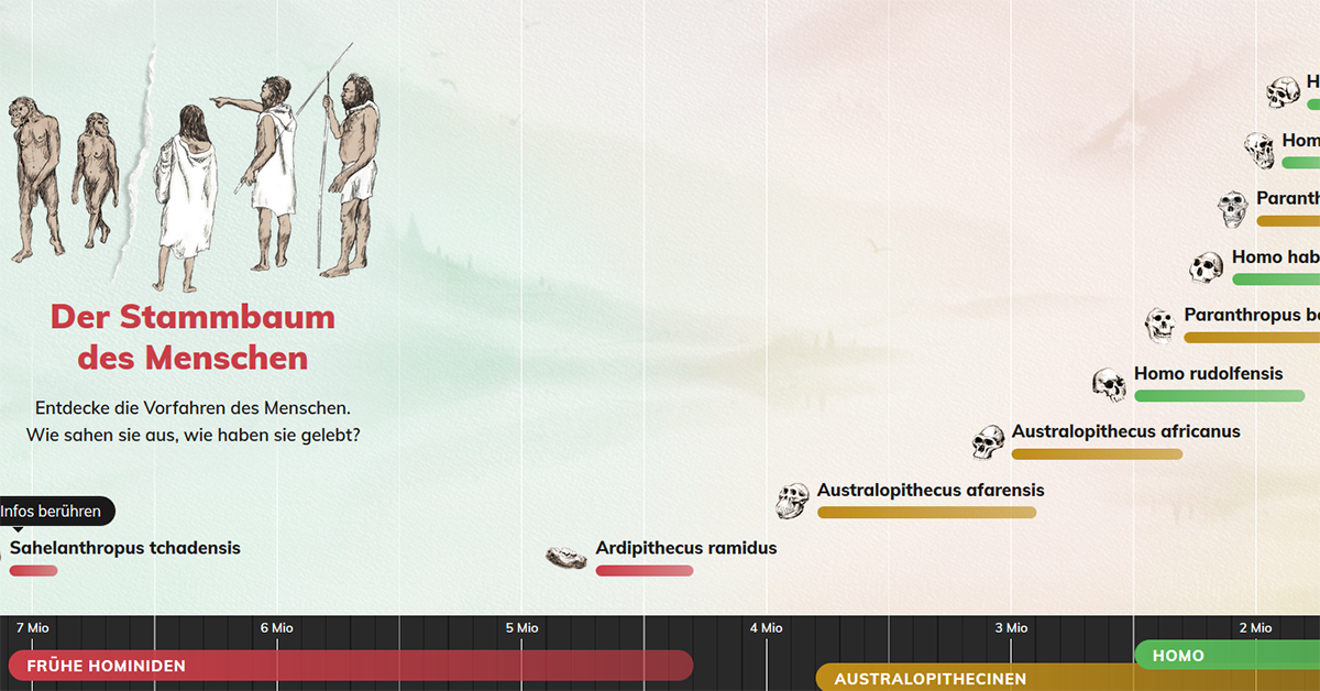 Stammbaum Des Menschen – Multimedia – Planet Schule