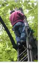 Klaus Ruge auf der Leiter