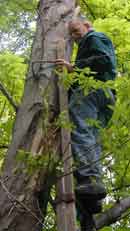 ein Tierfilmer in action