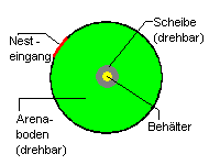 Versuchsaufbau zur Navigation von Rennmäusen