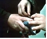 Taube mit Magnetplättchen