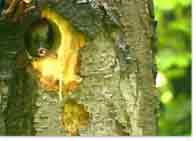 Ausschnitt aus Film V