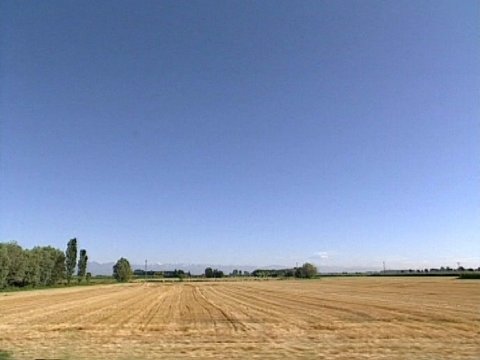 Landschaftsaufnahme mit blauem Himmel, Bäumen und einem Feld [Klick auf das Bild, schließt das Fenster]