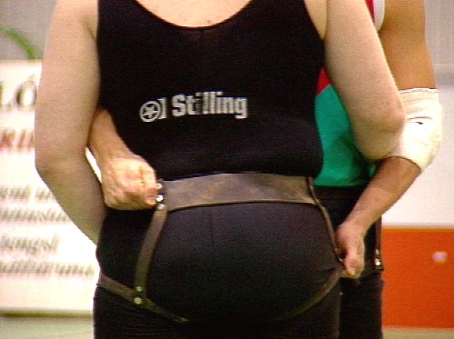 Abbildung der verschiedenen Gürtel am Ringer [Klick auf das Bild, schließt das Fenster]