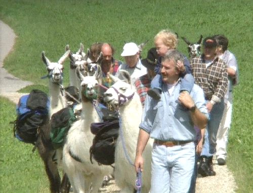 Lama-Trekkingtour [Klick auf das Bild, schließt das Fenster]