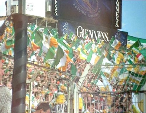 Fans mit Irland-Fahnen im Stadion [Klick auf das Bild, schließt das Fenster]