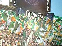 Fans mit Irland-Fahnen im Stadion