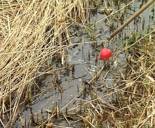 Die Bosselkugel ist im Graben gelandet [Klick auf das Bild, schließt das Fenster]