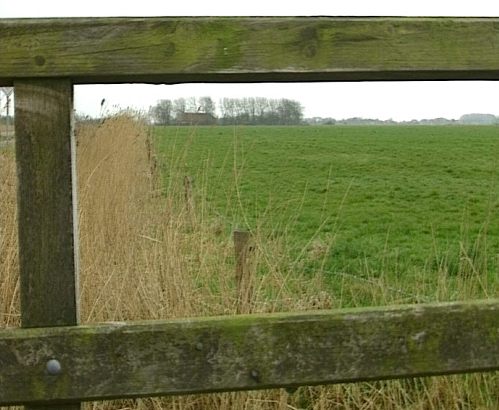 Blick durch einen Zaun auf eine grüne Wiese [Klick auf das Bild, schließt das Fenster]