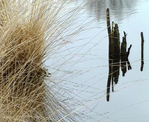 Überschwemmtes Land [Klick auf das Bild, schließt das Fenster]