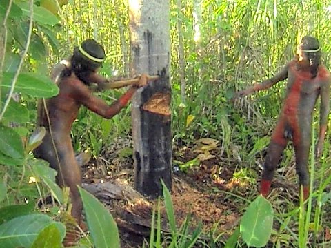 Männer, die eine Palme fällen [Klick auf das Bild, schließt das Fenster]