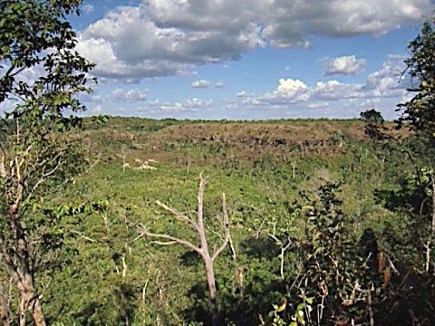 Mischwald und Steppe [Klick auf das Bild, schließt das Fenster]