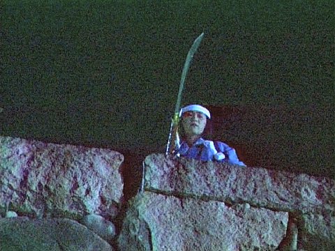 Eine Naginatakämpferin bei Nacht auf einer Mauer [Klick auf das Bild, schließt das Fenster]