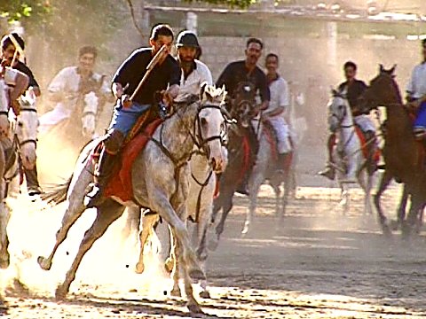 Polospieler in Aktion [Klick auf das Bild, schließt das Fenster]