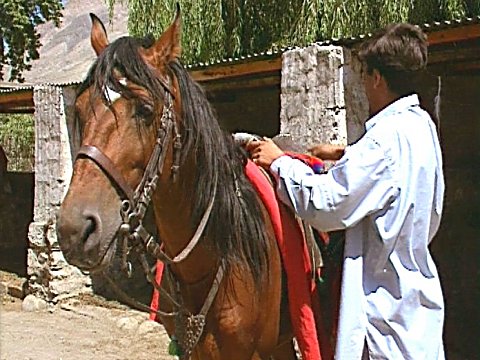 Spieler sattelt sein Pferd [Klick auf das Bild, schließt das Fenster]