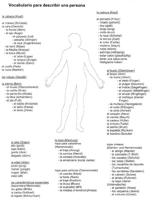 Mindmap auf spanisch: Vocabeln um eine Person zu beschreiben.