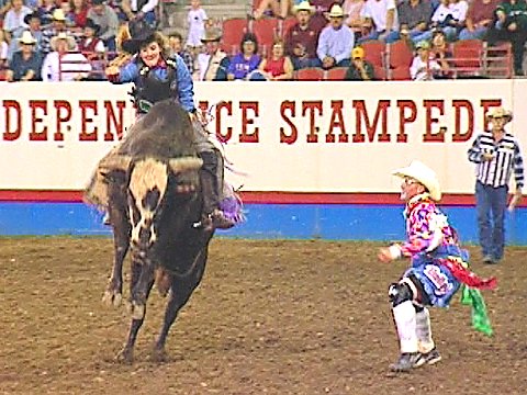 Eine Frau beim Bull Riding [Klick auf das Bild, schließt das Fenster]
