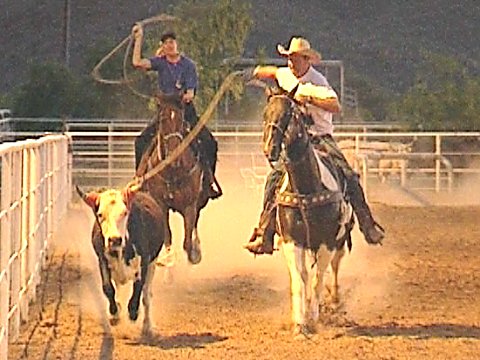 Zwei Reiterinnen fangen mit Lasso ein Kalb [Klick auf das Bild, schließt das Fenster]