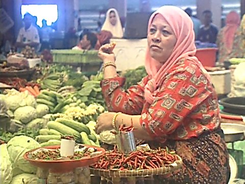 Eine Verkäuferin auf dem Markt [Klick auf das Bild, schließt das Fenster]