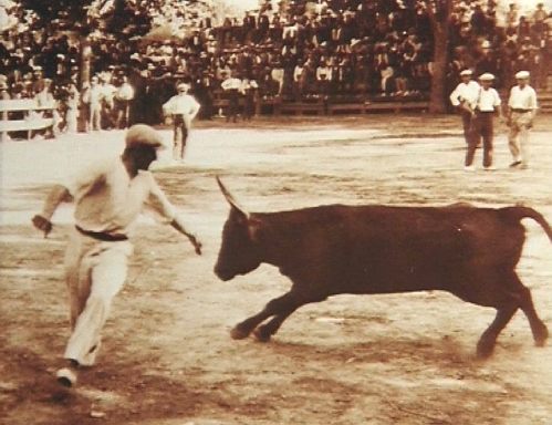 Ein Mann läßt sich von einem Stier durch eine Koppel jagen [Klick auf das Bild, schließt das Fenster]