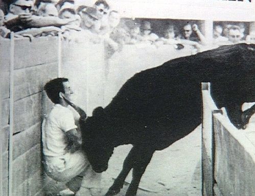 Ein Stier drückt einen Stierkämpfer gegen die Arenawand [Klick auf das Bild, schließt das Fenster]