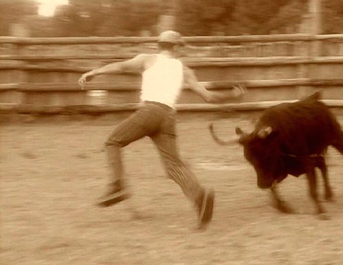 Ein Stierkämpfer auf der Flucht vor einem Stier [Klick auf das Bild, schließt das Fenster]