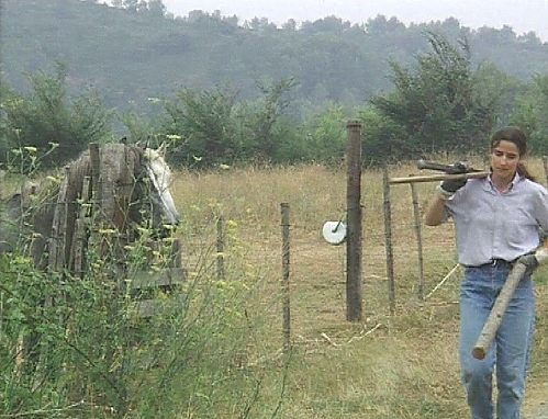 Arberiterin an einer Pferdekoppel [Klick auf das Bild, schließt das Fenster]