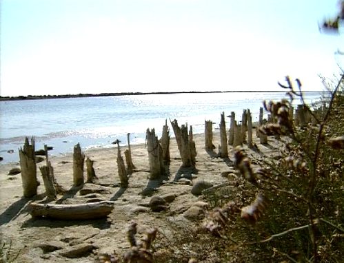 Ein Seeufer [Klick auf das Bild, schließt das Fenster]