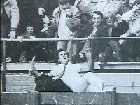 Zuschauer in einer Arena bejubeln einen stürzenden Stierkämpfer