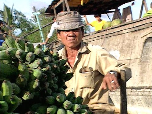Ein Bauer mit geernteten Bananenstauden [Klick auf das Bild, schließt das Fenster]