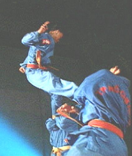 Ein Kämpfer setzt sich mit einen gekonnten Sprung gleich gegen zwei Gegner zur Wehr [Klick auf das Bild, schließt das Fenster]