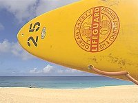 Ein Surfbrett mit dem Logo der hawaiianischen Rettungsschwimmer