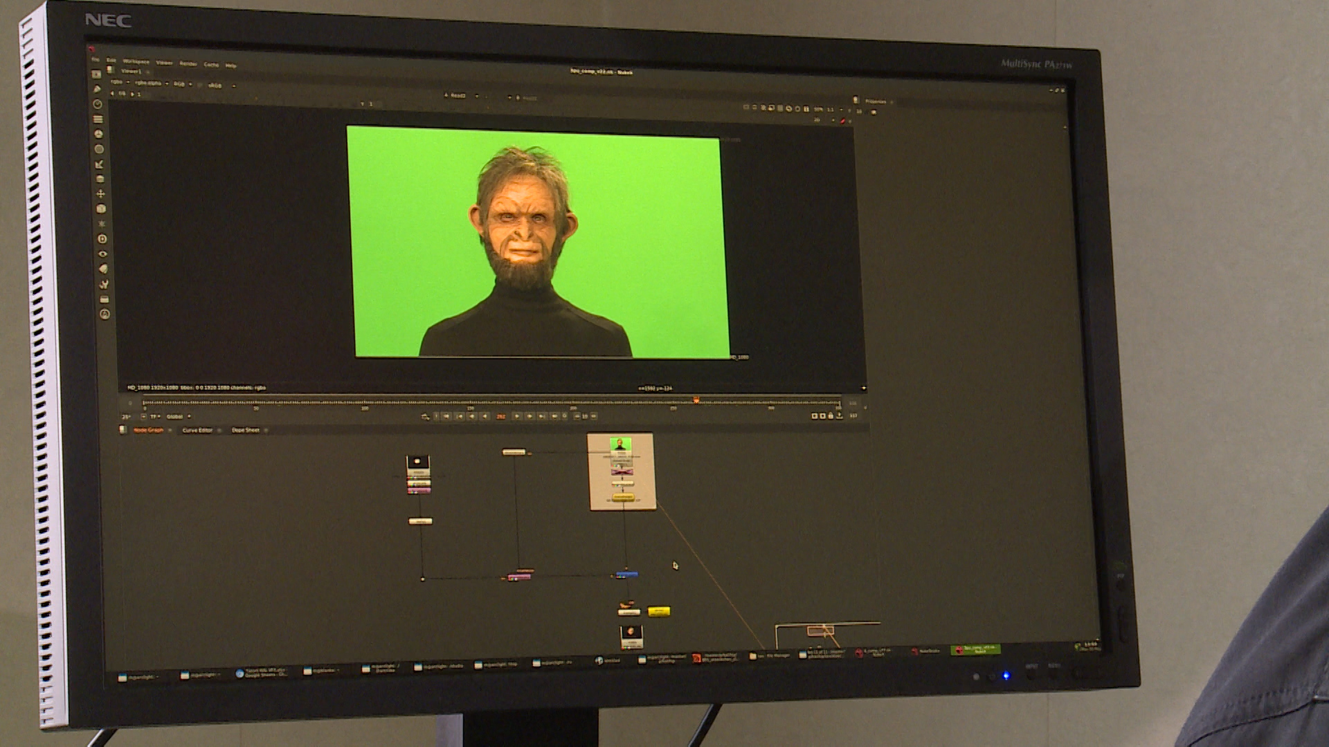 1. Schritt: Ausgangsbild vor Greenscreen