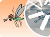 Link zur Animation Malaria