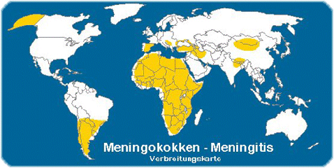 Verbreitungskarte: Meningokokken-Meningitis