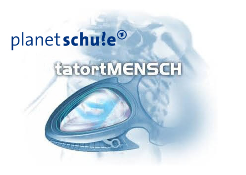 SWR Tatort Mensch