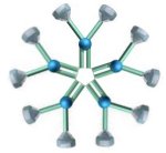 Immunkomplex (Verbund aus Allergenen und Antikörpern) ©SWR