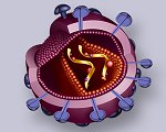 Modell eines HI-Virus ©SWR