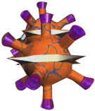 T helper cells (model) ©SWR