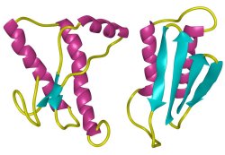 Comparison of normal and infectious prions (model) © unijournal. Zeitung der Universität Zürich 6/97
