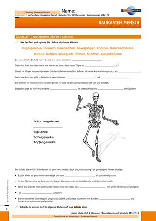 Arbeitsblatt 1: Das menschliche Skelett (Foto: )