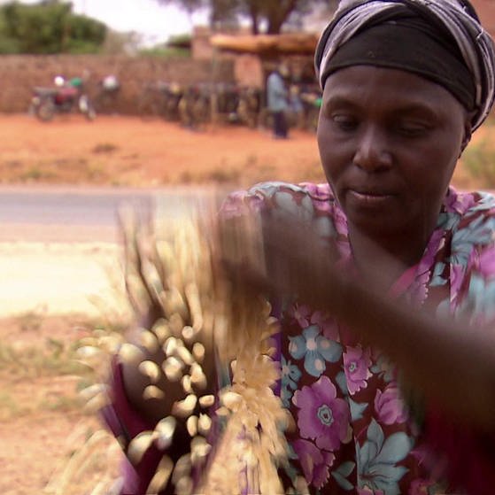 Frau siebt Mais aus. (Foto: SWR – Screenshot aus der Sendung)