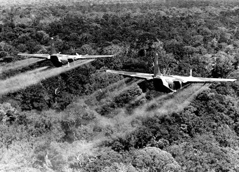 2 US-Kampfjets fliegen über ein Waldgebiet (Foto: imago images / United Archives International)
