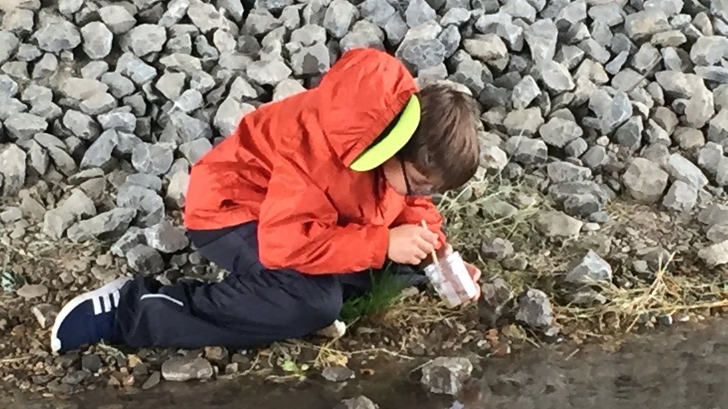 Junge in roter Jacke schaut mit Becherlupe in einen Bach. (Foto: Marina Rapp)